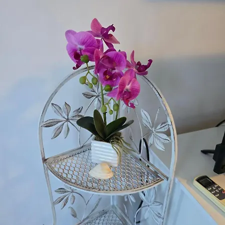 Luxury * Gmina Pomorie