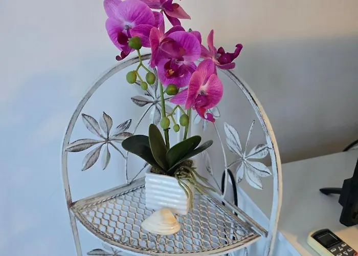 Luxury * פומורי